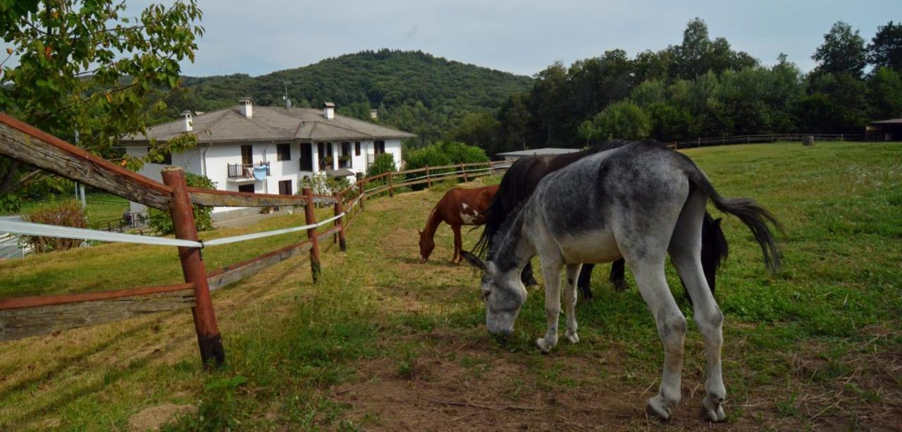 Favetto Family Ranch Bed & Breakfast Rueglio Екстериор снимка