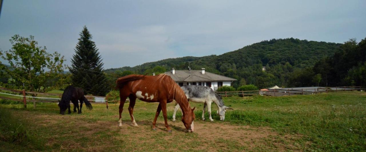 Favetto Family Ranch Bed & Breakfast Rueglio Екстериор снимка