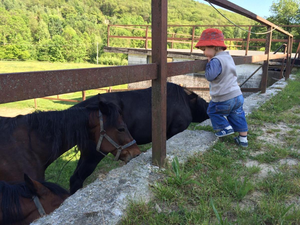 Favetto Family Ranch Bed & Breakfast Rueglio Екстериор снимка